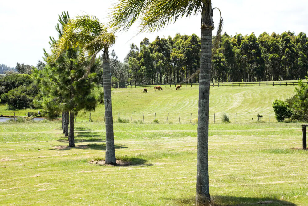Image gallery image